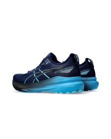 Zapatillas Asics Gel-Kayano 31