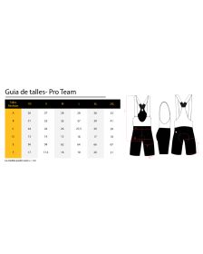 Maillot Pavé Pro Team