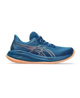 Zapatillas Asics Gel-Cumulus 26